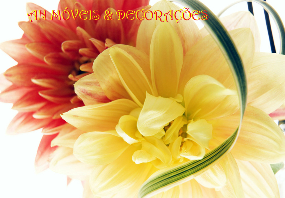 An Móveis e Decorações 